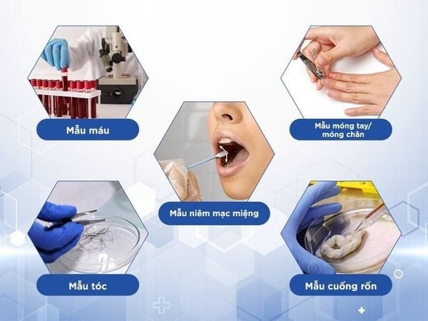 Mẫu xét nghiệm ADN họ hàng